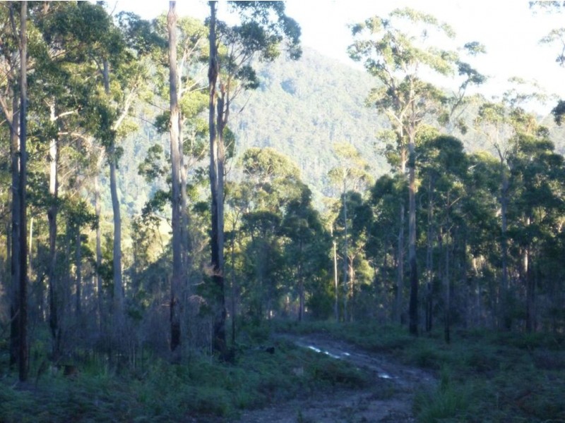 186 Mountain Rd, Lilydale TAS 7268