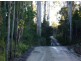 186 Mountain Rd, Lilydale TAS 7268
