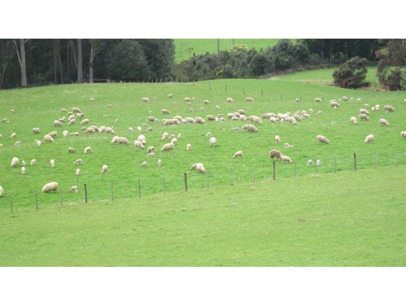 30 Menne Rd, Highclere TAS 7321