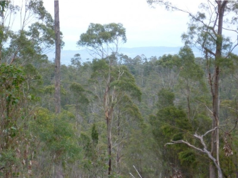 659 Lilydale Rd, Underwood TAS 7268