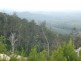 - Poimena Rd, Goulds Country TAS 7216