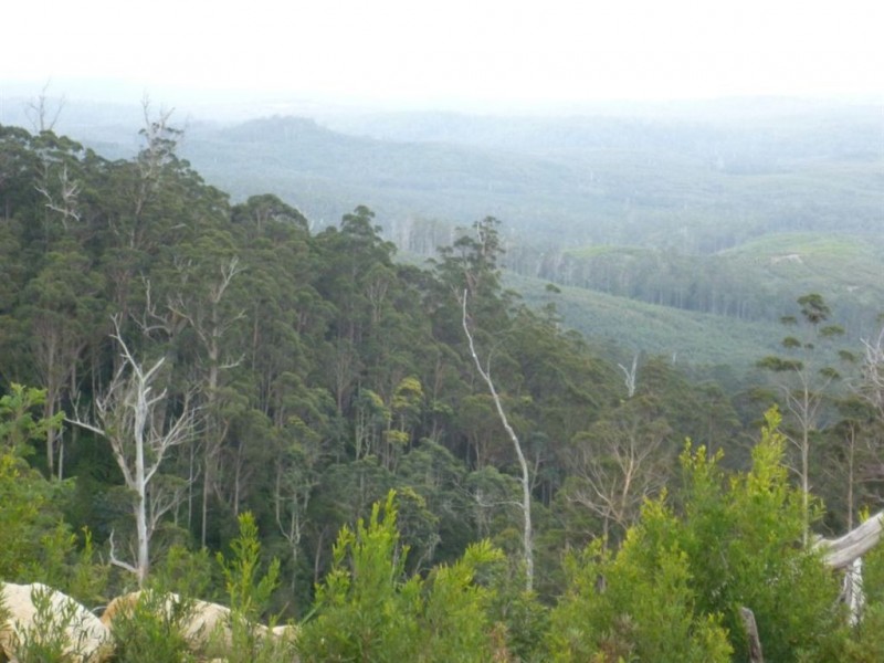 - Poimena Rd, Goulds Country TAS 7216