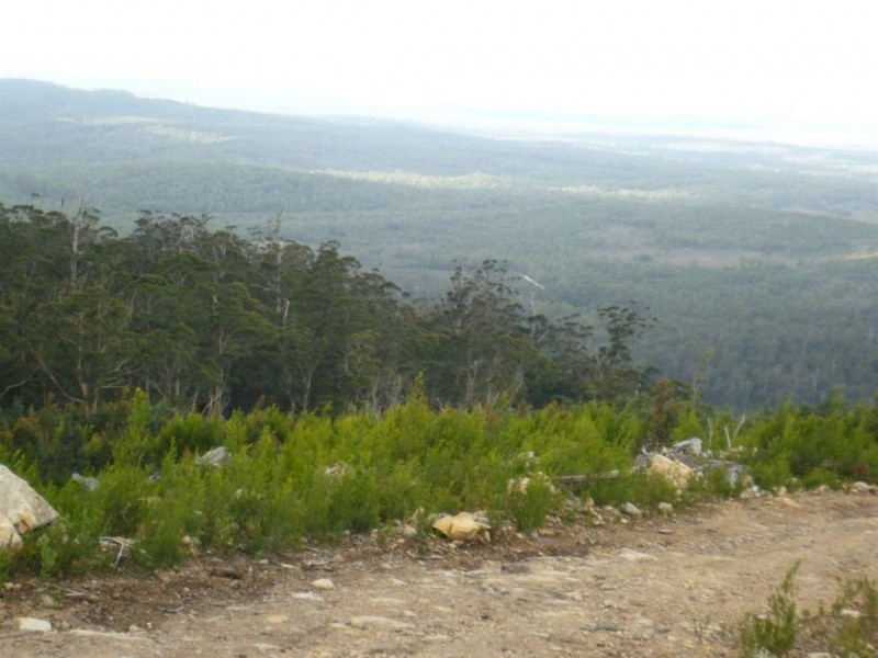 - Poimena Rd, Goulds Country TAS 7216