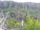 - Poimena Rd, Goulds Country TAS 7216