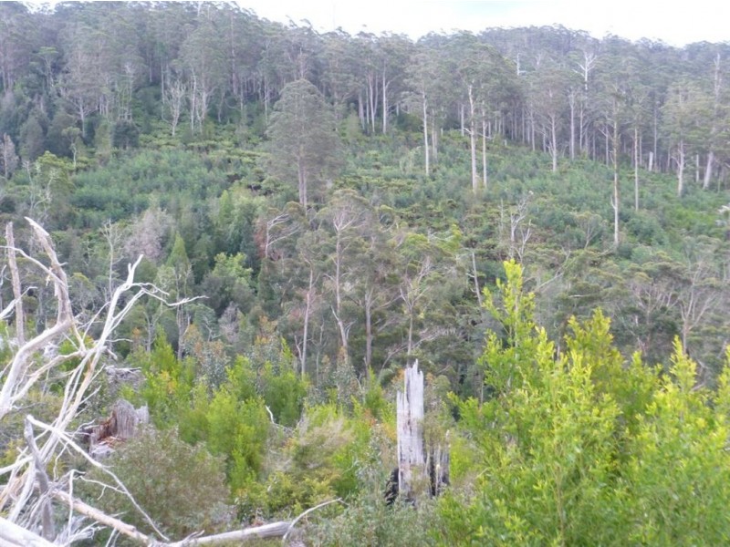 - Poimena Rd, Goulds Country TAS 7216