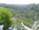 - Poimena Rd, Goulds Country TAS 7216