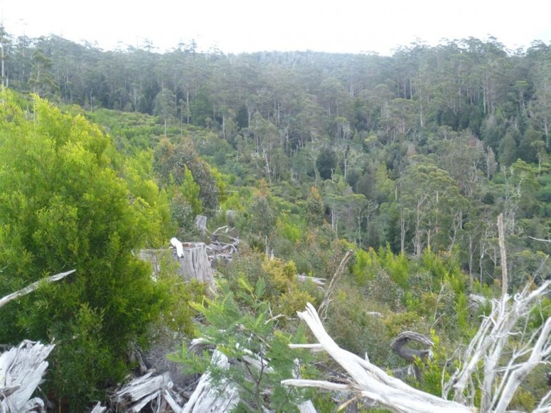 - Poimena Rd, Goulds Country TAS 7216