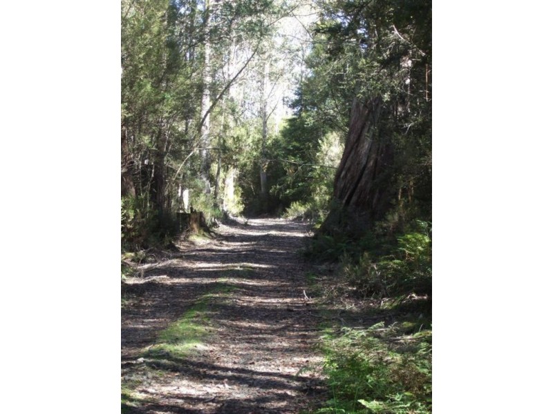 - Middlesex Plains, Cradle Mountain TAS 7306