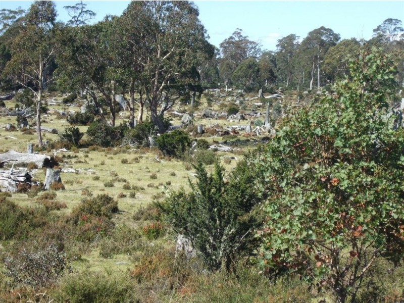 - Middlesex Plains, Cradle Mountain TAS 7306