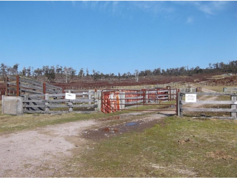 - Middlesex Plains, Cradle Mountain TAS 7306