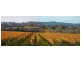 703 Rowella Rd, Rowella TAS 7270