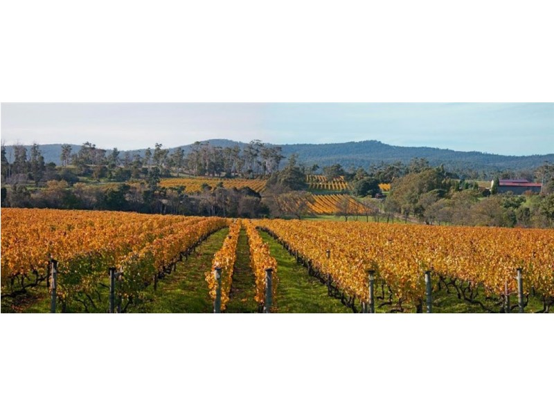 703 Rowella Rd, Rowella TAS 7270