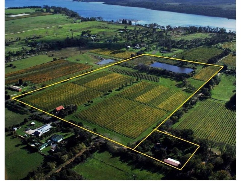 703 Rowella Rd, Rowella TAS 7270