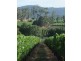 703 Rowella Rd, Rowella TAS 7270