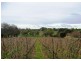 703 Rowella Rd, Rowella TAS 7270