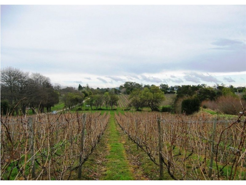 703 Rowella Rd, Rowella TAS 7270