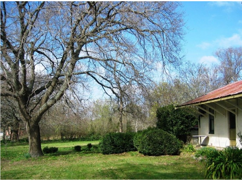703 Rowella Rd, Rowella TAS 7270