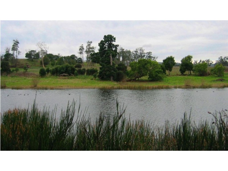 703 Rowella Rd, Rowella TAS 7270