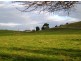 3797 Meander Valley Rd, Exton TAS 7303