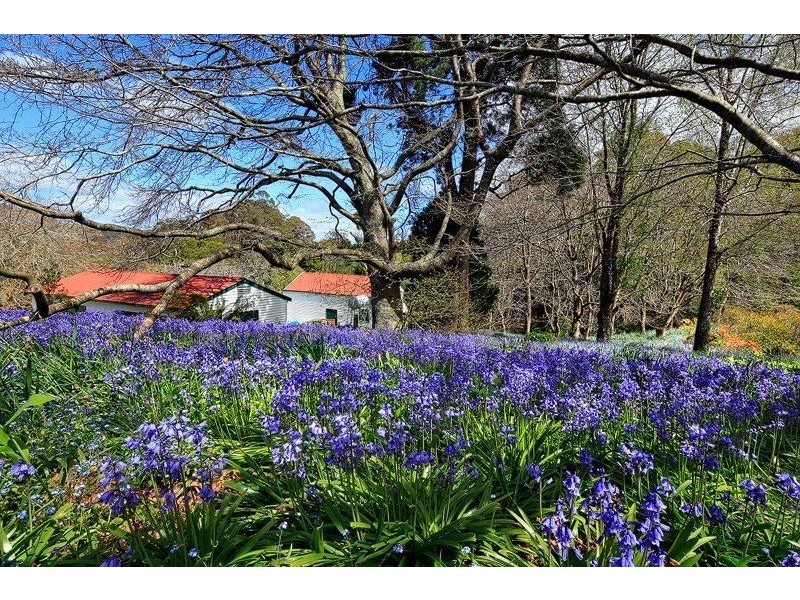 399 Ridgley Hwy, Mooreville TAS 7321