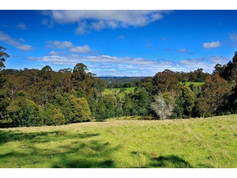 399 Ridgley Hwy, Mooreville TAS 7321