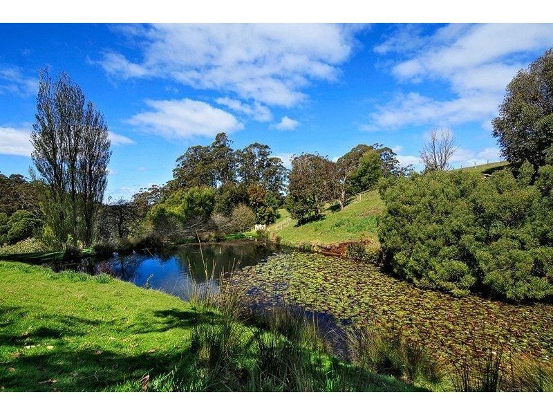 399 Ridgley Hwy, Mooreville TAS 7321