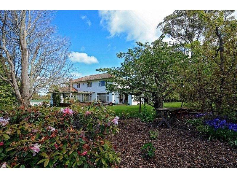 399 Ridgley Hwy, Mooreville TAS 7321