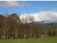 100 Rowlands Rd, Liena TAS 7304