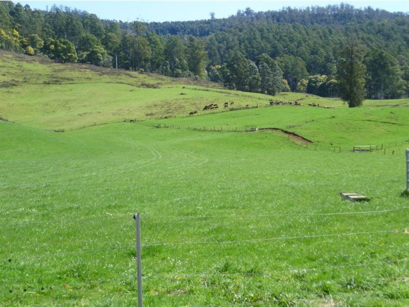 100 Rowlands Rd, Liena TAS 7304