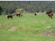100 Rowlands Rd, Liena TAS 7304