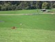 100 Rowlands Rd, Liena TAS 7304