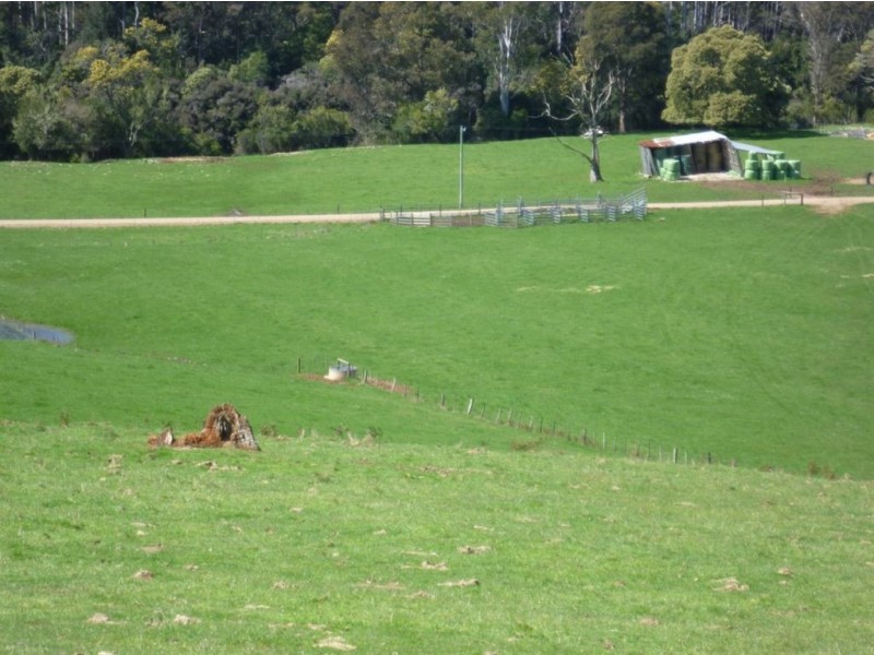 100 Rowlands Rd, Liena TAS 7304