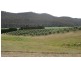 1345 Railton Rd, Kimberley TAS 7304