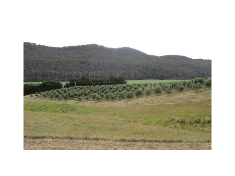 1345 Railton Rd, Kimberley TAS 7304