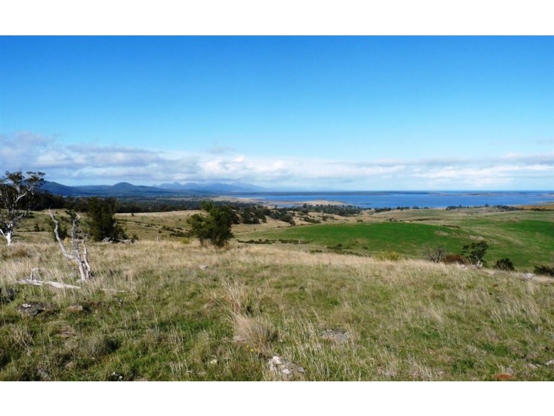 16017 Tasman Hwy, Apslawn TAS 7190