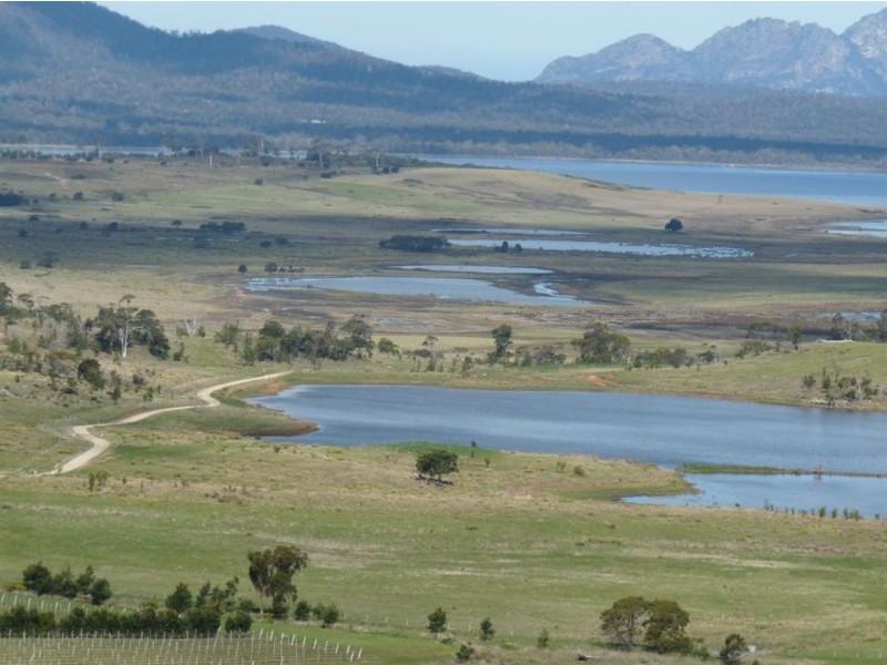 16017 Tasman Hwy, Apslawn TAS 7190