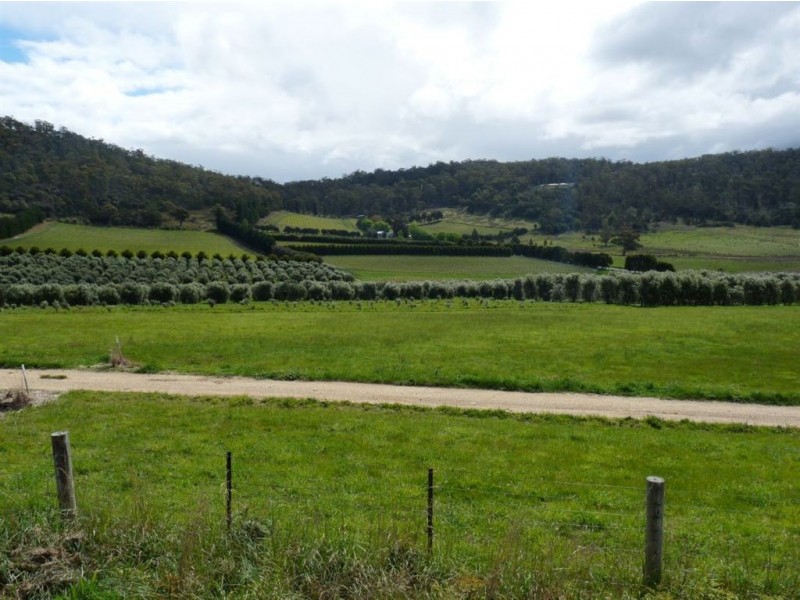 16017 Tasman Hwy, Apslawn TAS 7190