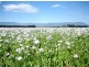 163 Elphinstone Rd, Cressy TAS 7302