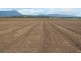 163 Elphinstone Rd, Cressy TAS 7302