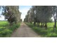 163 Elphinstone Rd, Cressy TAS 7302