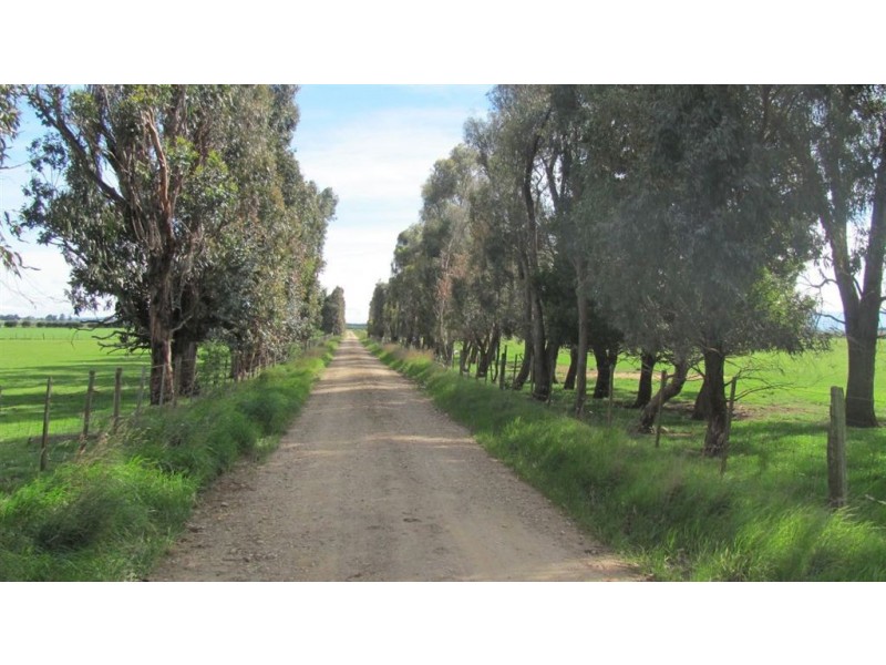 163 Elphinstone Rd, Cressy TAS 7302