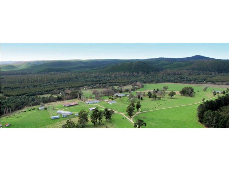 . Mathinna Road, Mathinna TAS 7214