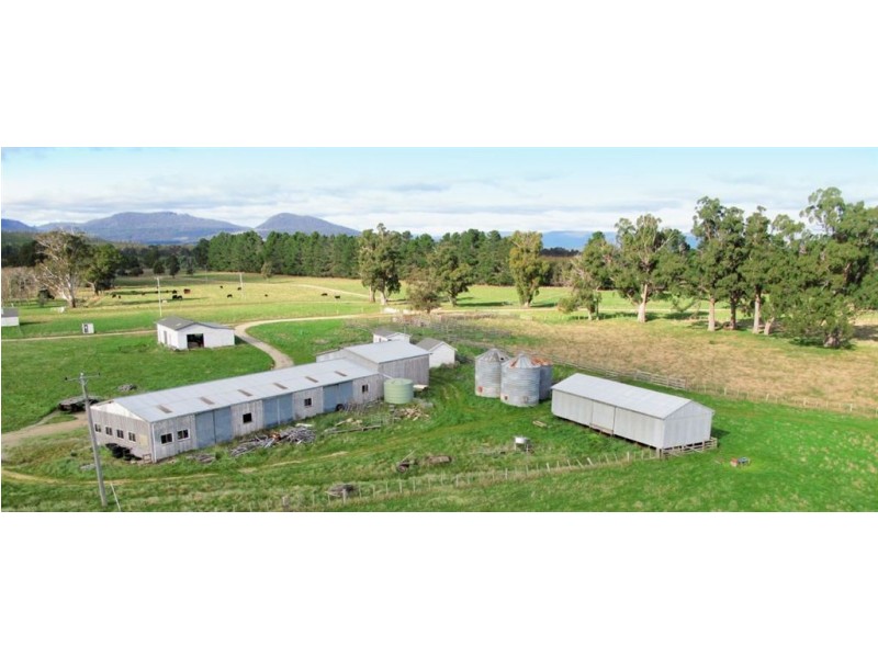 . Mathinna Road, Mathinna TAS 7214