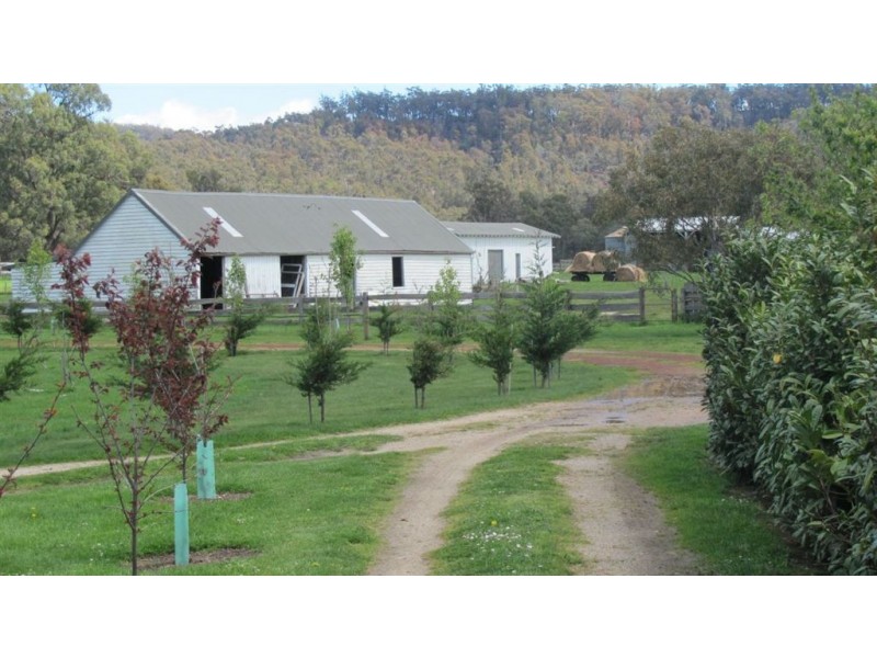 . Mathinna Road, Mathinna TAS 7214