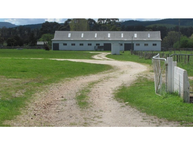 . Mathinna Road, Mathinna TAS 7214