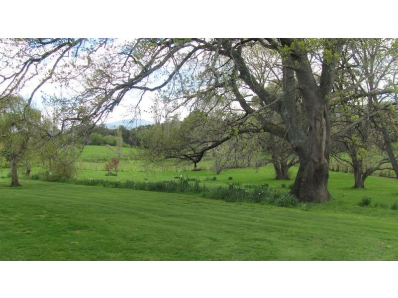 . Mathinna Road, Mathinna TAS 7214