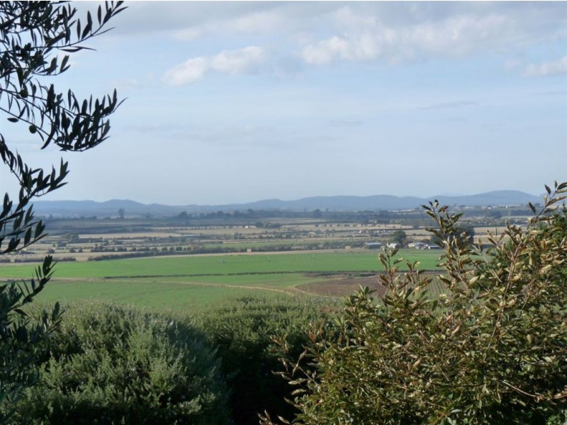 294 Hoggs Lane, Hagley TAS 7292