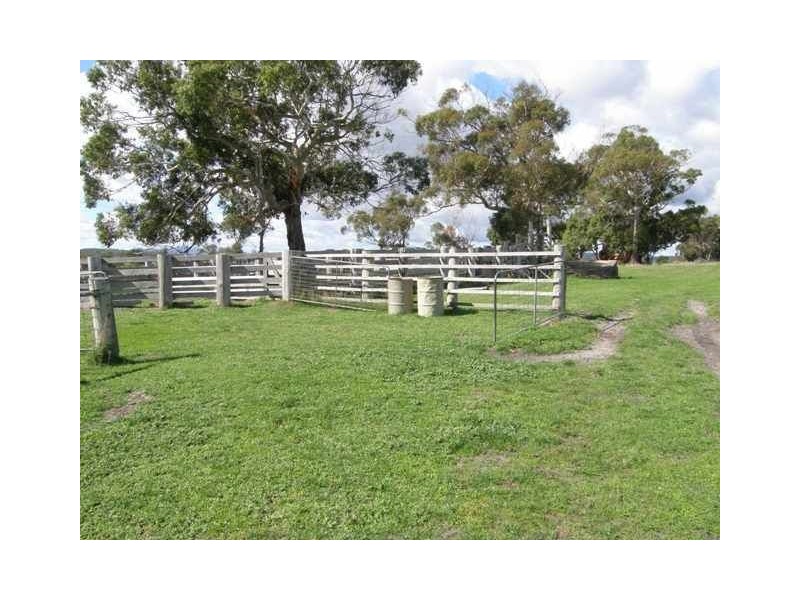 . Bridport Rd, Bridport TAS 7262