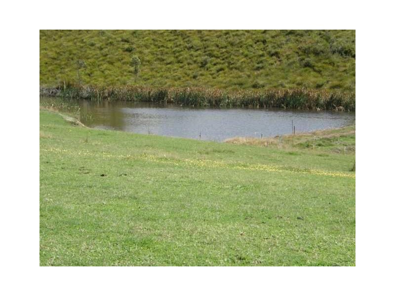 . Bridport Rd, Bridport TAS 7262