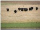 . Bridport Rd, Bridport TAS 7262